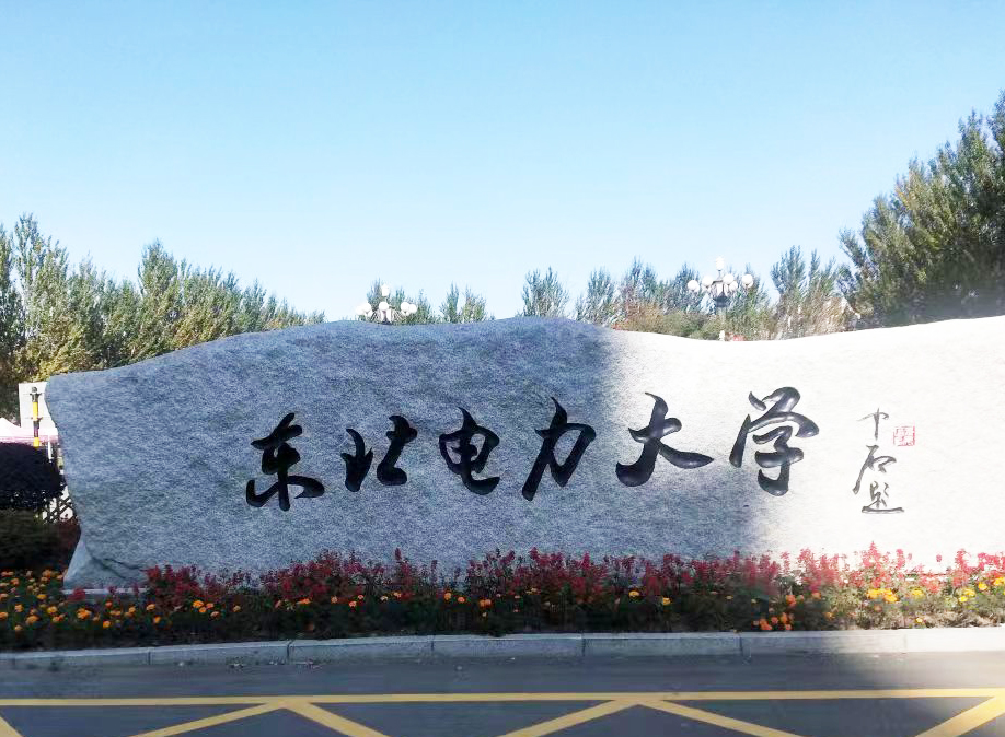 东北电力大学采购南京樱桃视频污在线看的DZ-DSC300C樱桃视频成人APP